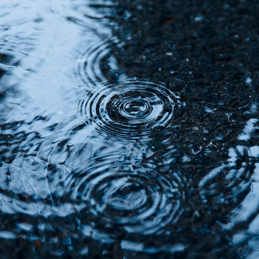 汚れをはじくコットンパンツ スリム ホワイト Proofectシリーズ Factelier ファクトリエ