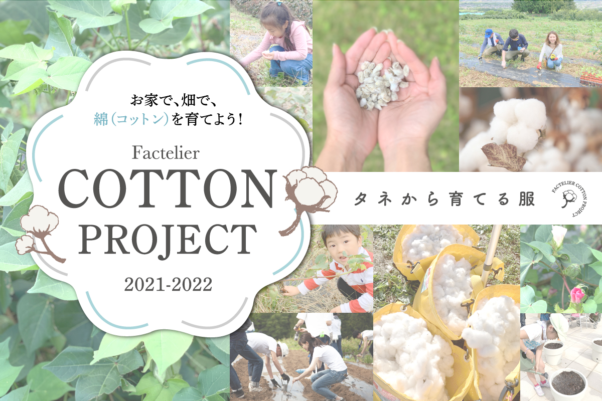 コットンプロジェクト2021 | Factelier (ファクトリエ)