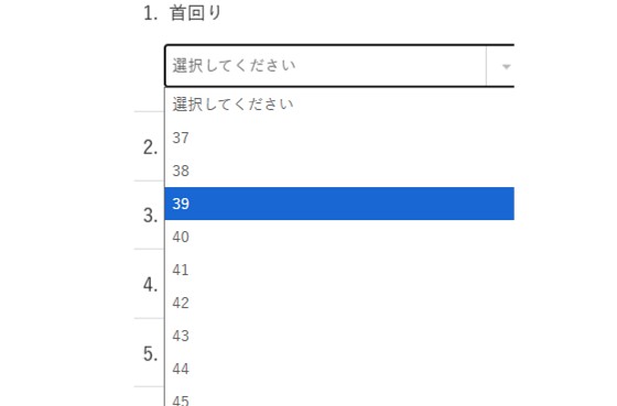 HITOYOSHI オーダーシャツ サイズ表・補正について | Factelier