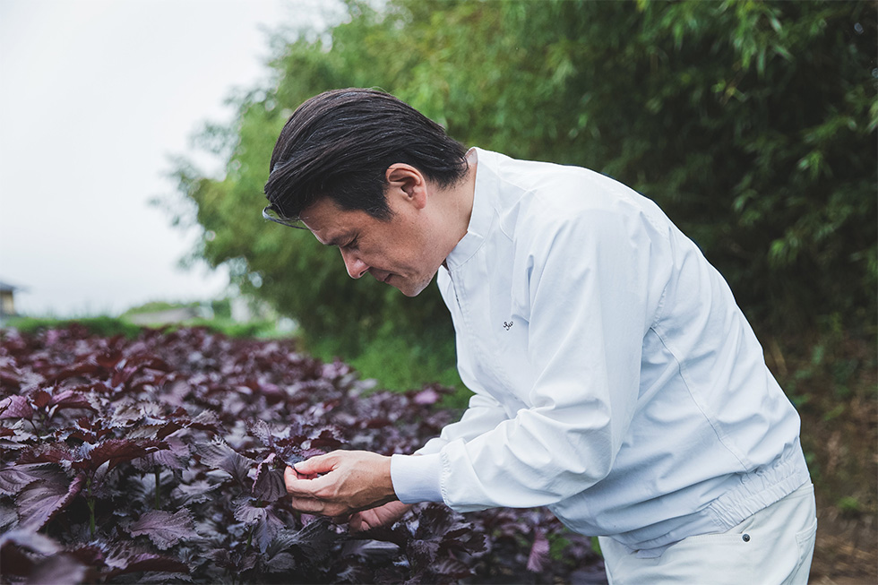 自然由来100パーセント、完全無農薬・無添加で濃厚なエキスを抽出