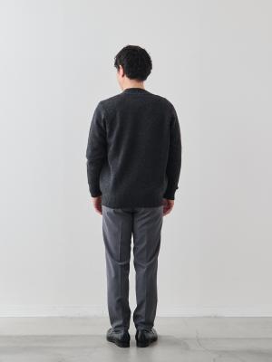 モデル 171cm 70kg サイズ L